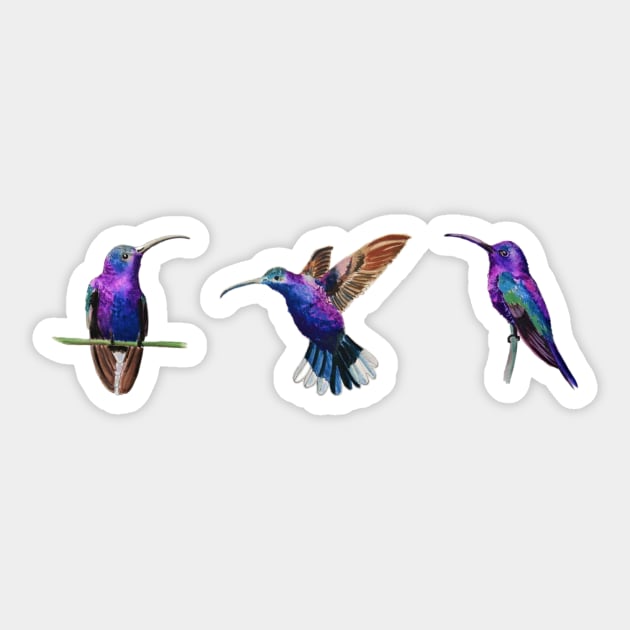 Violet Saberwing Hummingbirds in Watercolor Sticker by julyperson